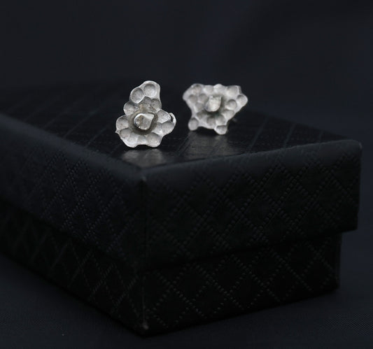 Coral stud earrings