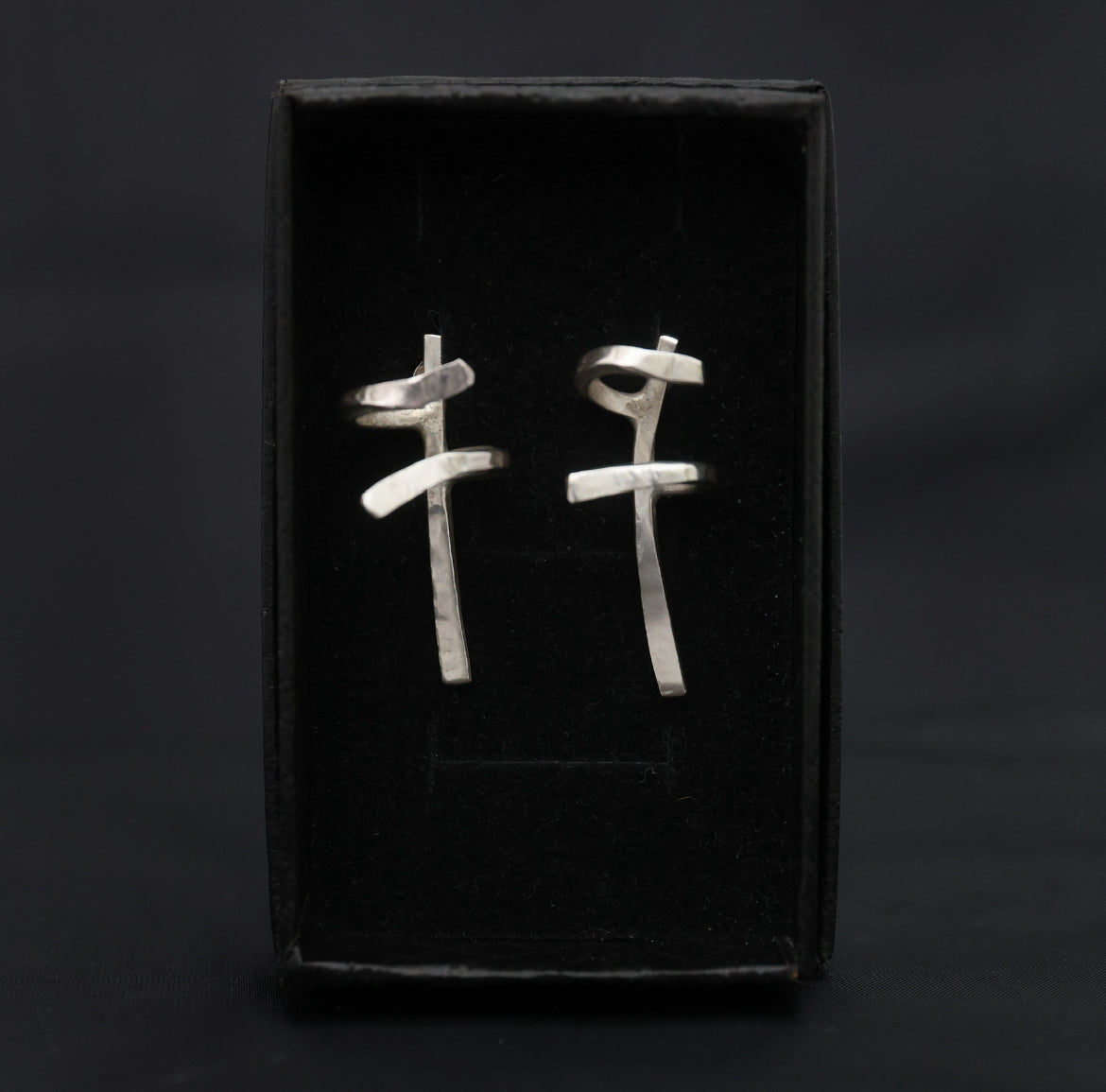 Hug earrings